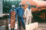 Pesticides workers image